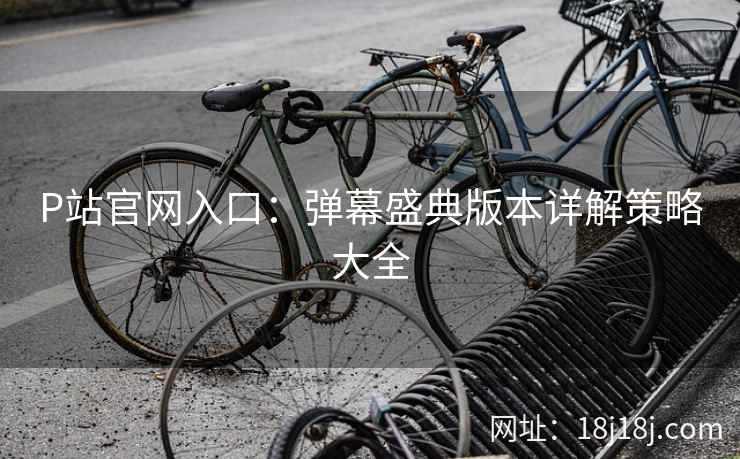 P站官网入口：弹幕盛典版本详解策略大全