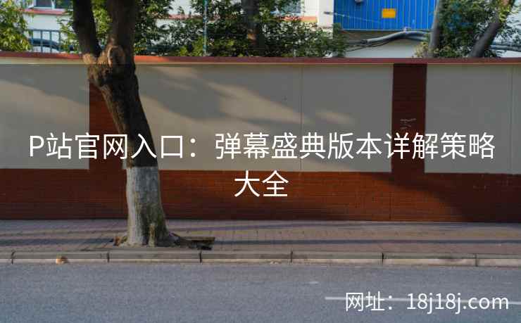 P站官网入口：弹幕盛典版本详解策略大全