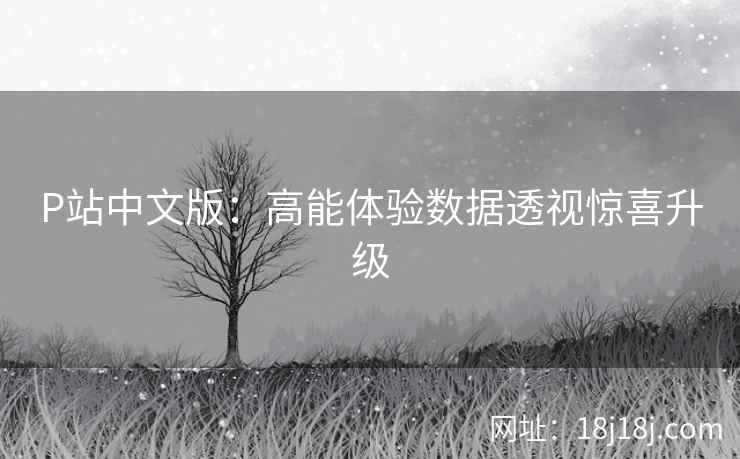 P站中文版：高能体验数据透视惊喜升级