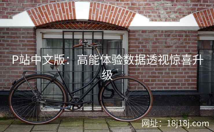P站中文版：高能体验数据透视惊喜升级