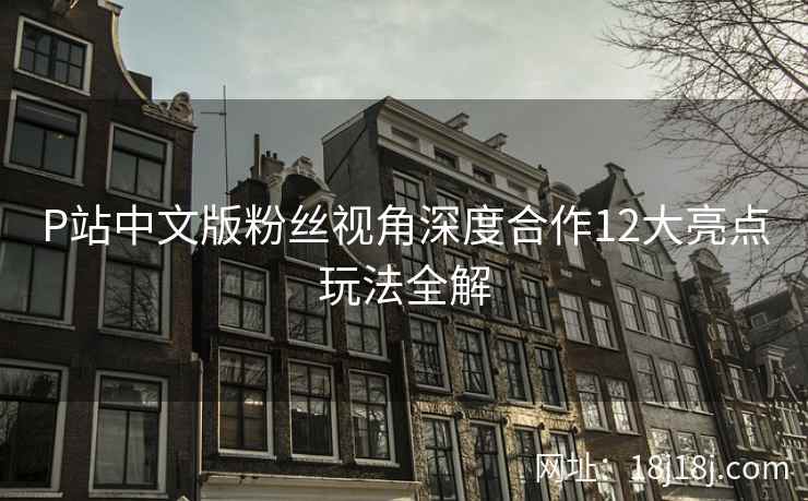 P站中文版粉丝视角深度合作12大亮点玩法全解