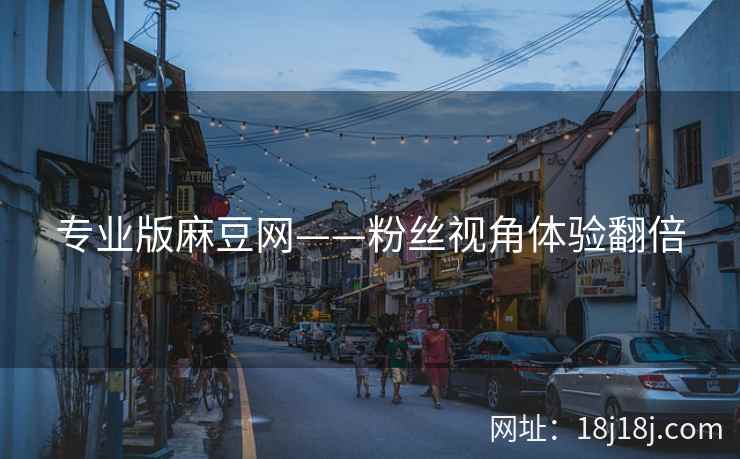 专业版麻豆网——粉丝视角体验翻倍