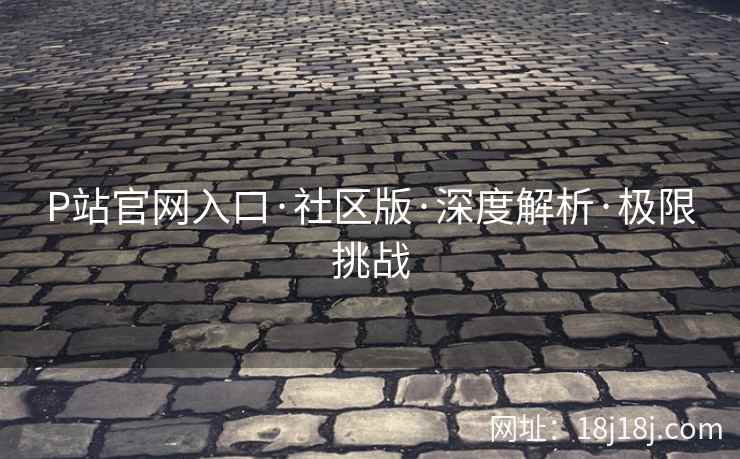 P站官网入口·社区版·深度解析·极限挑战