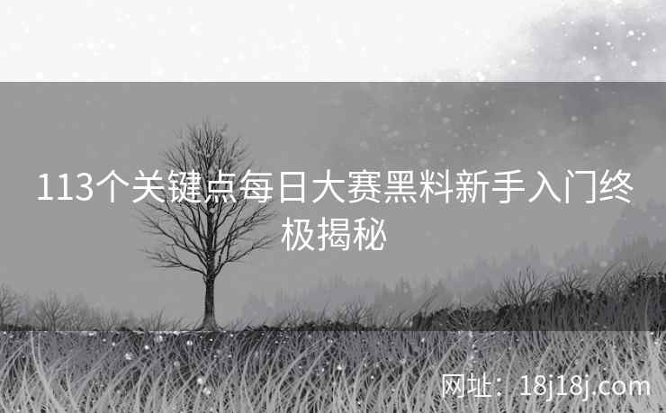 113个关键点每日大赛黑料新手入门终极揭秘