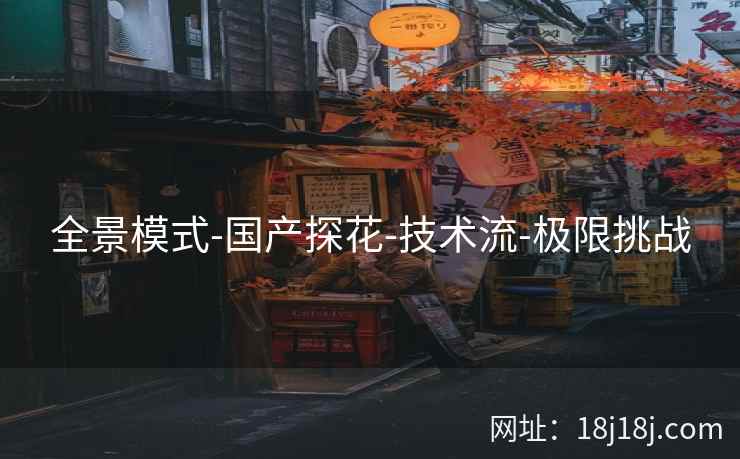 全景模式-国产探花-技术流-极限挑战