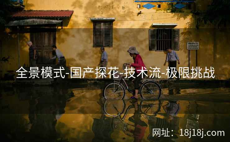 全景模式-国产探花-技术流-极限挑战
